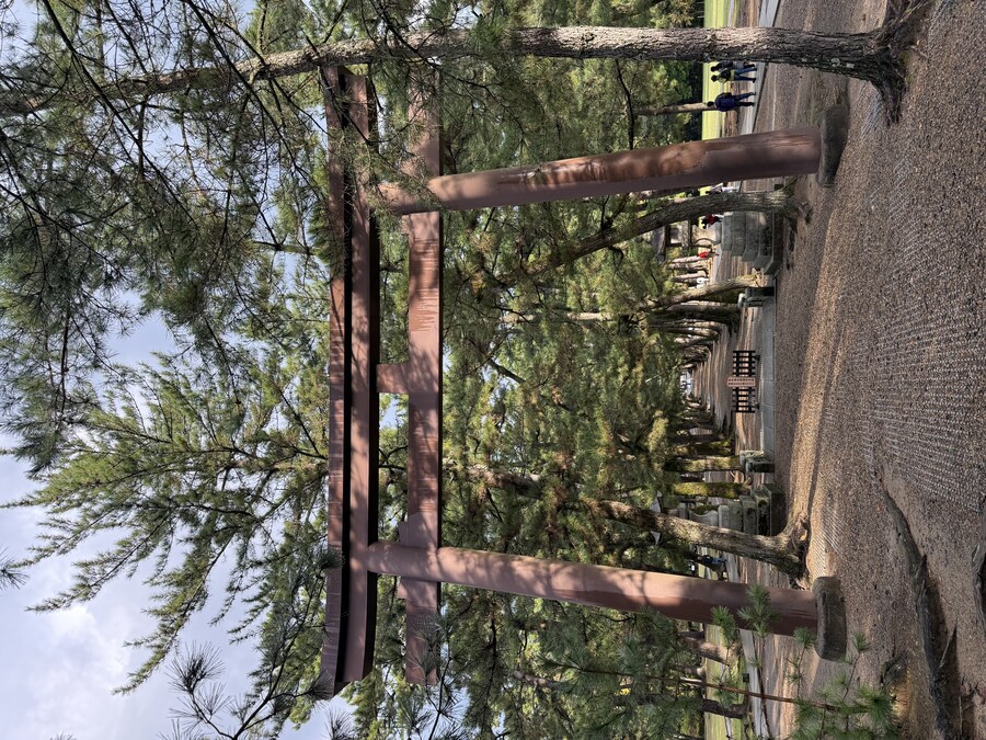 11월 2~7 5박6일 돗토리 요나고 여행 2일차 마쓰에.(스압)_18.jpg