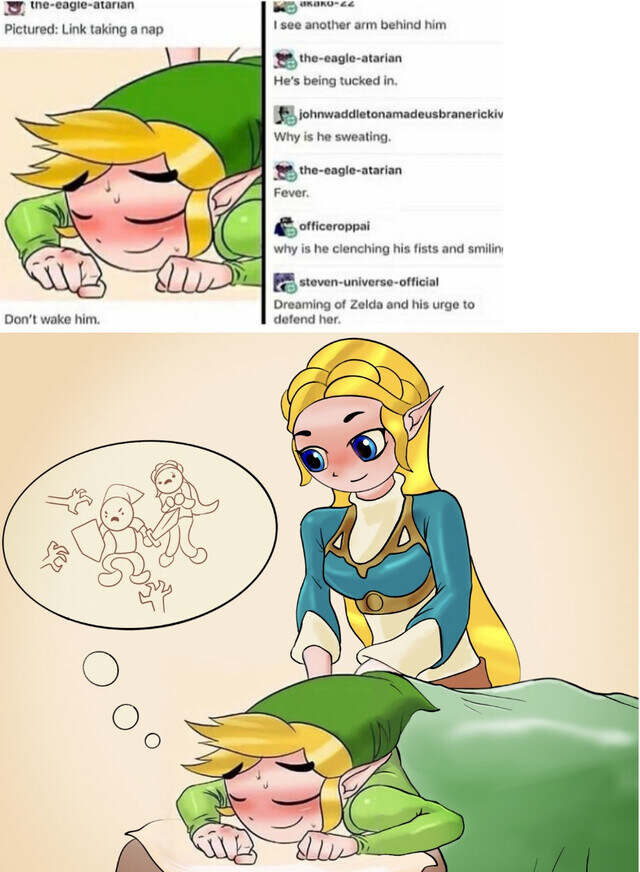 낮잠자는 링크_2.jpg