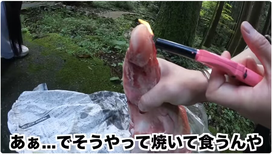 조회수에 미쳐 곰을 만나러 간 일본의 어느 유튜버_3.png