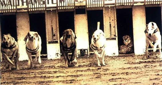 31일까지 매일 1위했다가..._3.webp