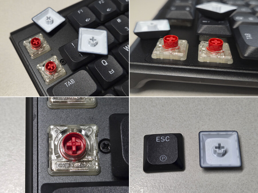 CHERRY XTRFY MX 10.1 Wireless와 MW5500 마우스_14.jpg