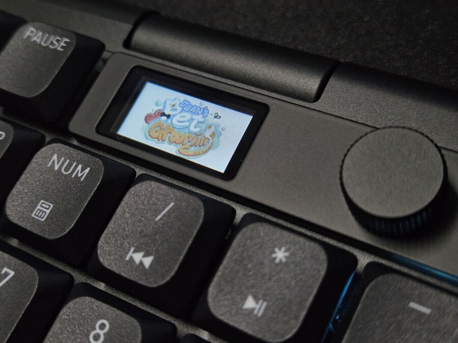 CHERRY XTRFY MX 10.1 Wireless와 MW5500 마우스_20.jpg