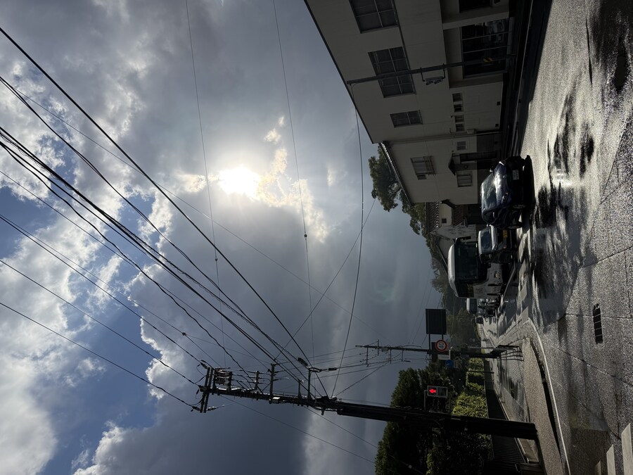 11월 2~7 5박6일 돗토리 요나고 여행 2일차 마쓰에.(스압)_30.jpg