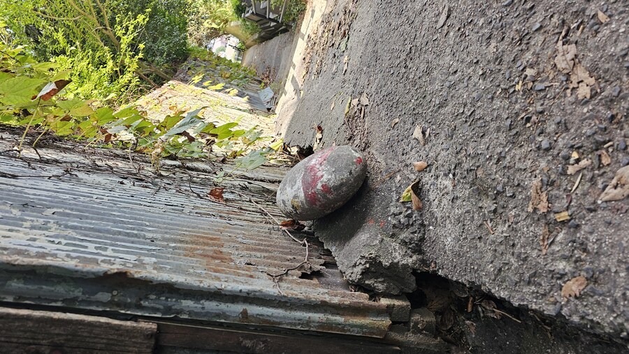 만성소화불량자의 8박9일 히로시마 여행 5일차 (오노미치)_53.jpg