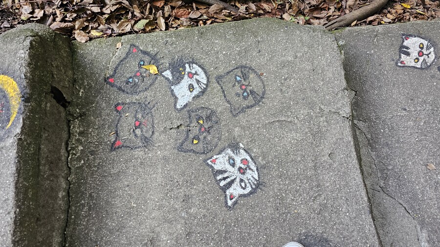 만성소화불량자의 8박9일 히로시마 여행 5일차 (오노미치)_70.jpg