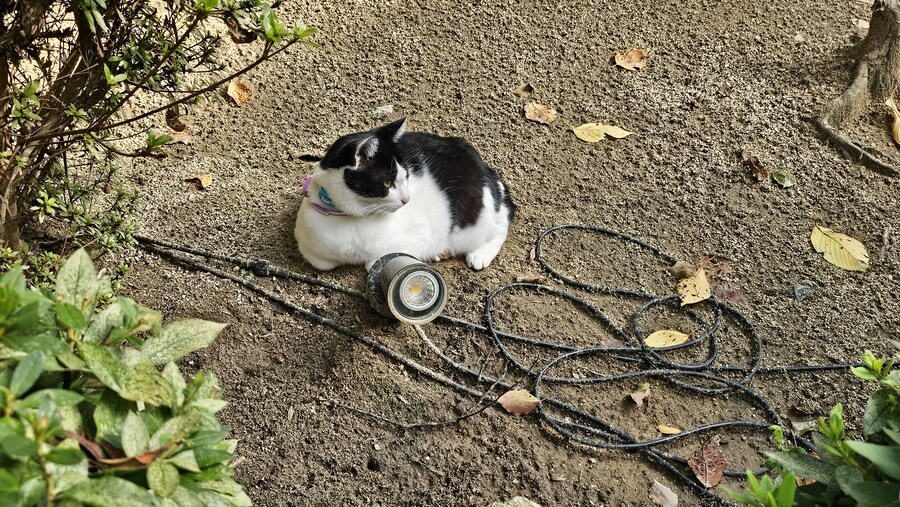 만성소화불량자의 8박9일 히로시마 여행 5일차 (오노미치)_76.jpg