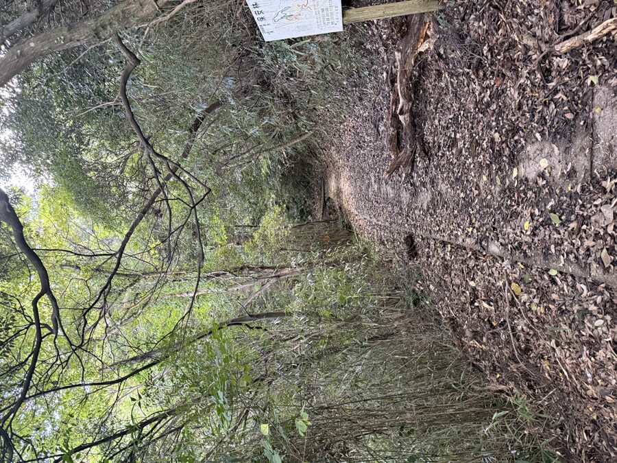 11월 2~7 5박6일 돗토리 요나고 여행 2일차 마쓰에.(스압)_59.jpg