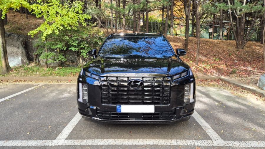 패밀리카 출고 2주년 기념 왁싱했어요 (팰리세이드)_1.jpeg