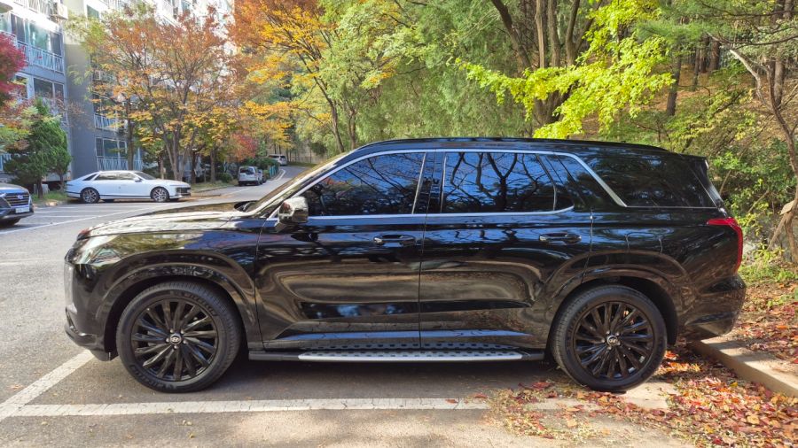 패밀리카 출고 2주년 기념 왁싱했어요 (팰리세이드)_3.jpeg