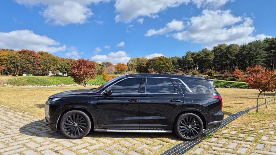 패밀리카 출고 2주년 기념 왁싱했어요 (팰리세이드)_7.jpeg