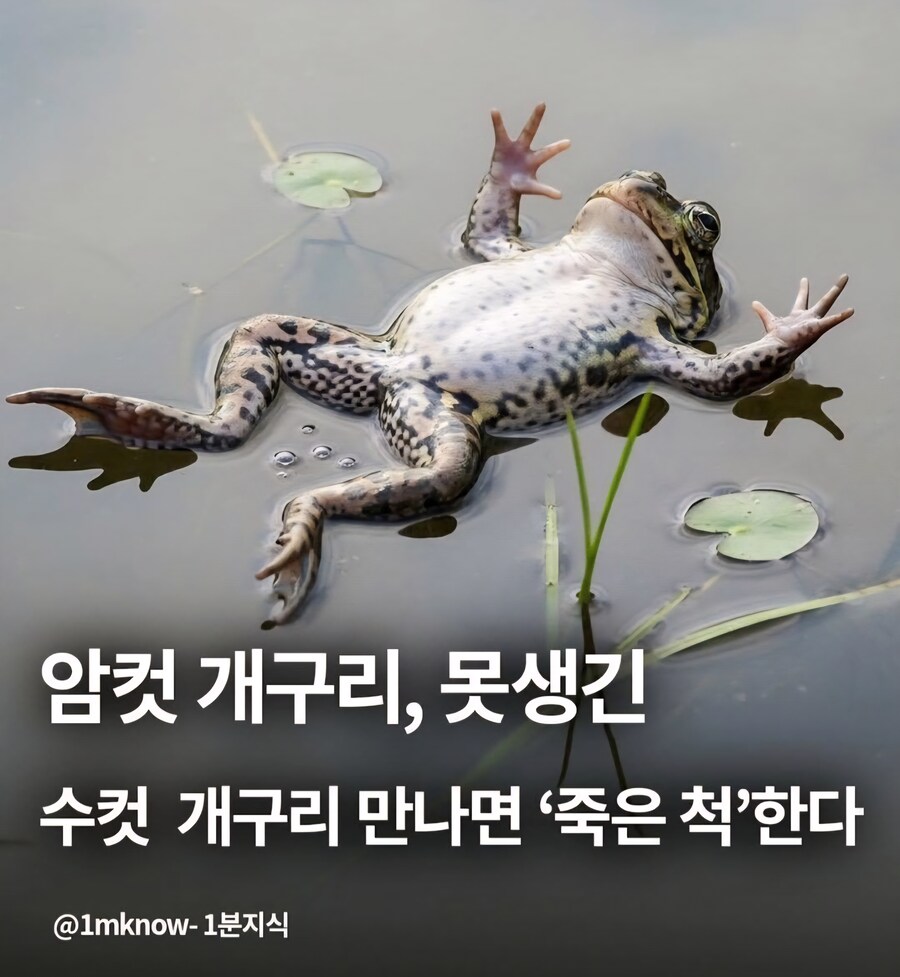 연애결혼시장 현 상황_1.jpg