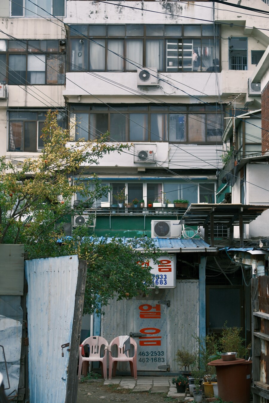 성수동의 일상 사진 1편 (스압)_13.jpg