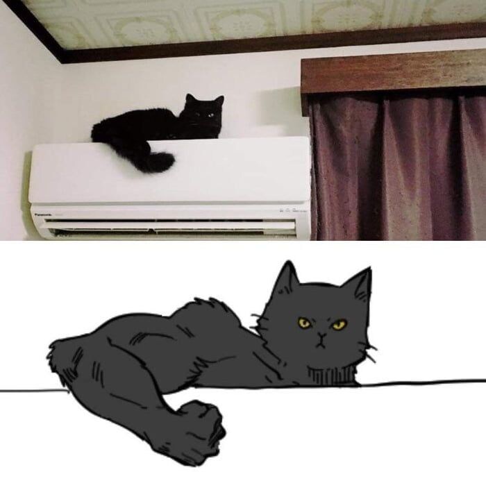 힘을 숨긴 동물들.JPG_2.jpg