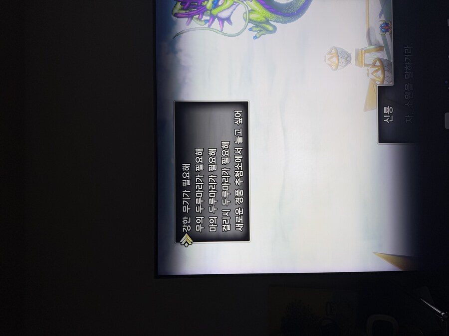 드퀘2 신룡 소원 각각 뭔가요?_1.jpg