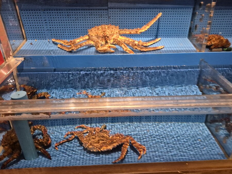 이제는 오타쿠가 아닌 일반인(?)의 훗카이도 가족여행 두번째(스압,데이터주의)_41.jpg