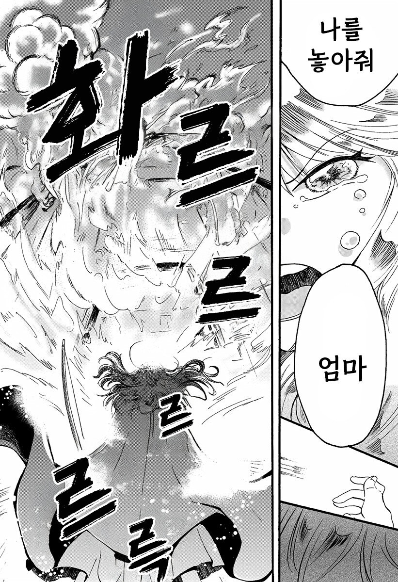 마녀와 저주받은 늑대 만화 .manhwa_46.jpg