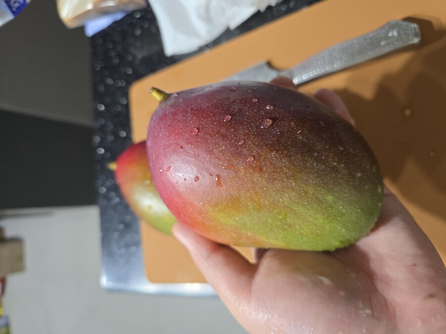 애플망고 케이크를 만들어 봤습니다._9.jpg