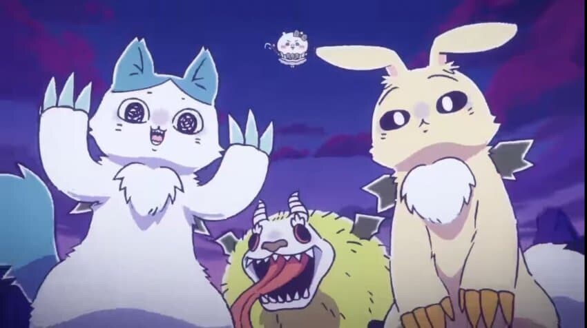 먼작귀 근황_1.jpg