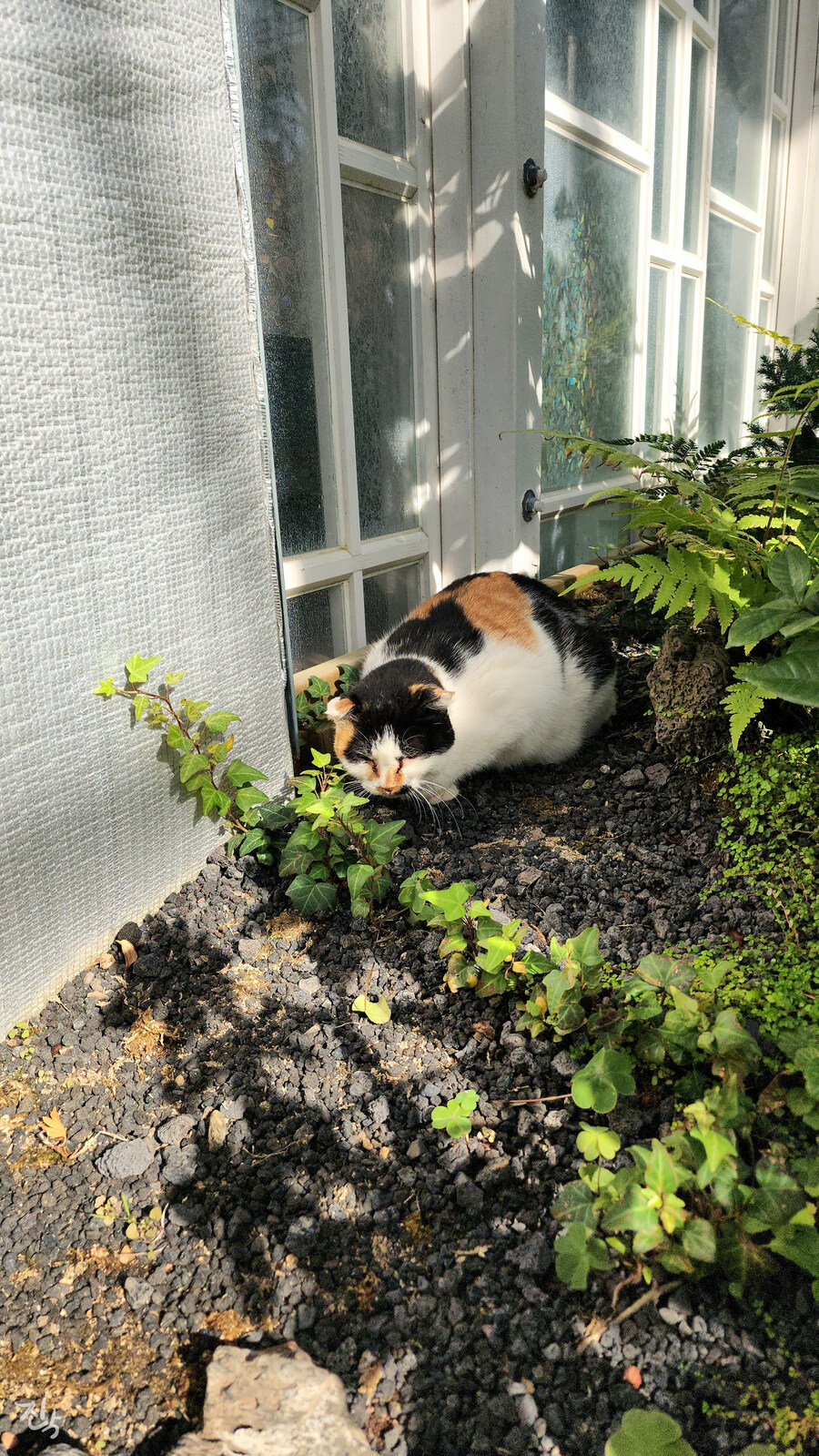 [사진많음] 창경궁, 춘당지 일원 & 가을끝자락_10.jpg