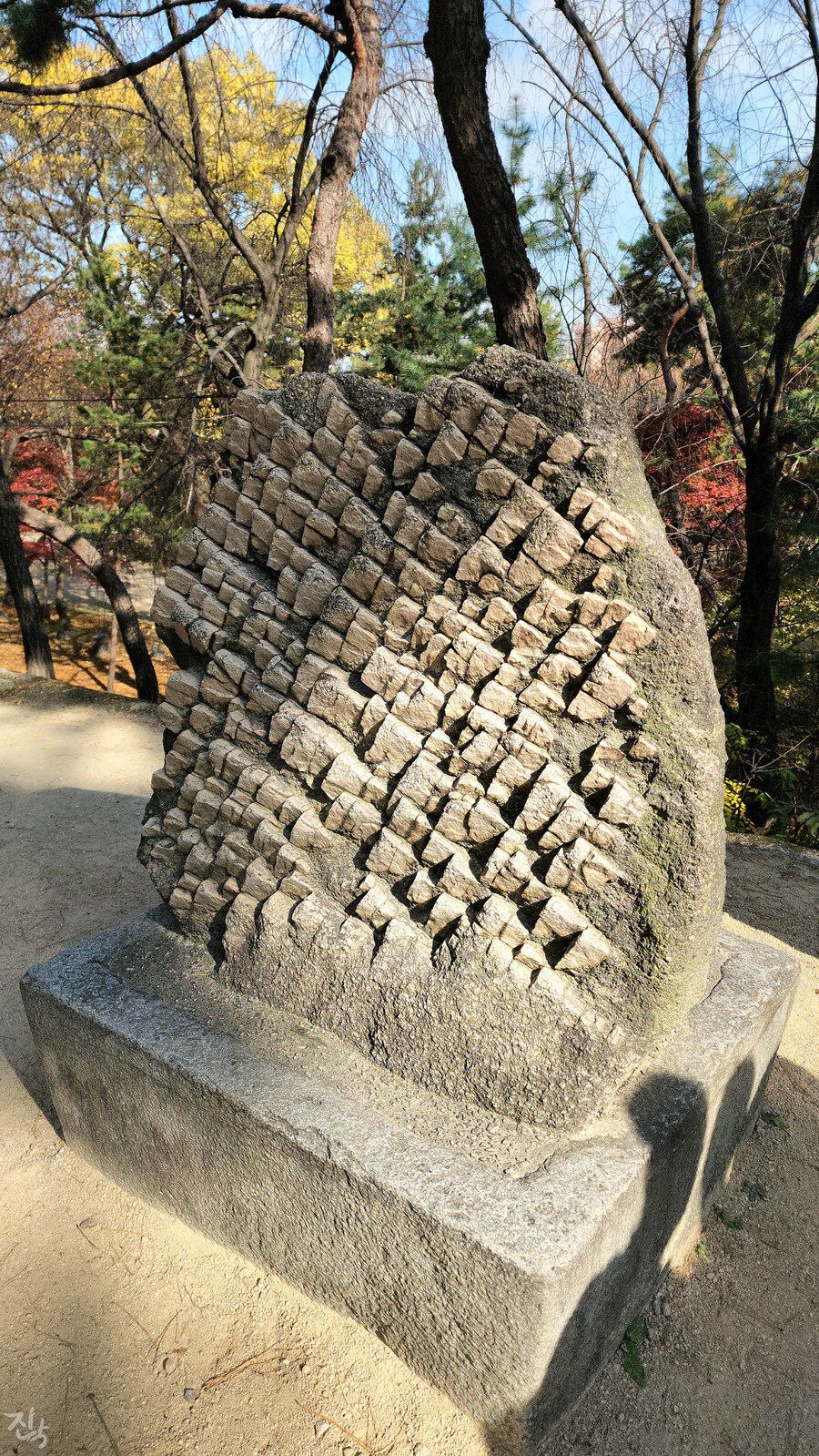 [사진많음] 창경궁, 춘당지 일원 & 가을끝자락_23.jpg