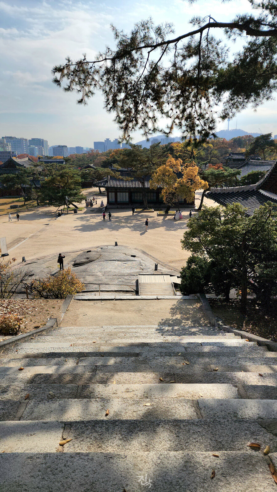 [사진많음] 창경궁, 춘당지 일원 & 가을끝자락_25.jpg