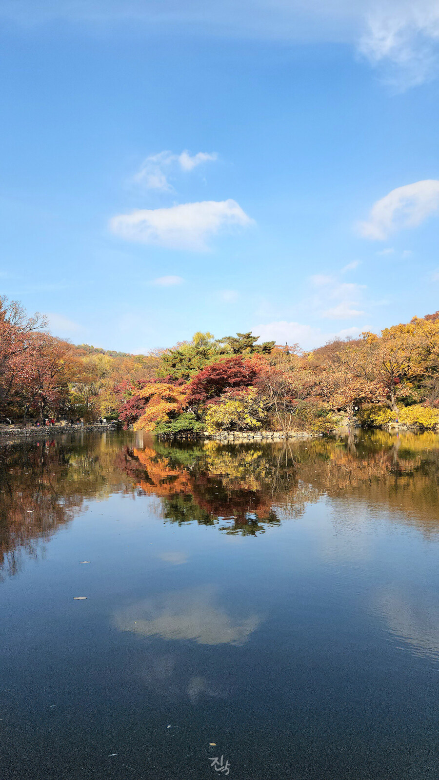 [사진많음] 창경궁, 춘당지 일원 & 가을끝자락_20.jpg