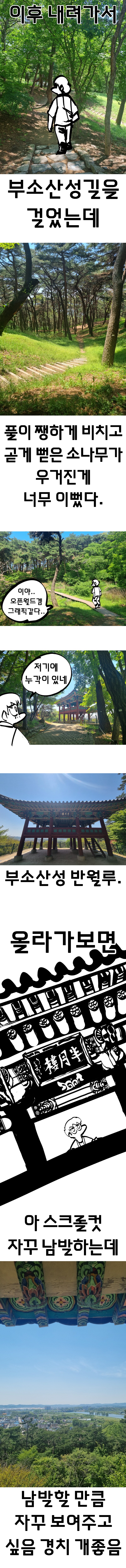 부여 여행간 만화 (부소산성 편).manhwa_8.png