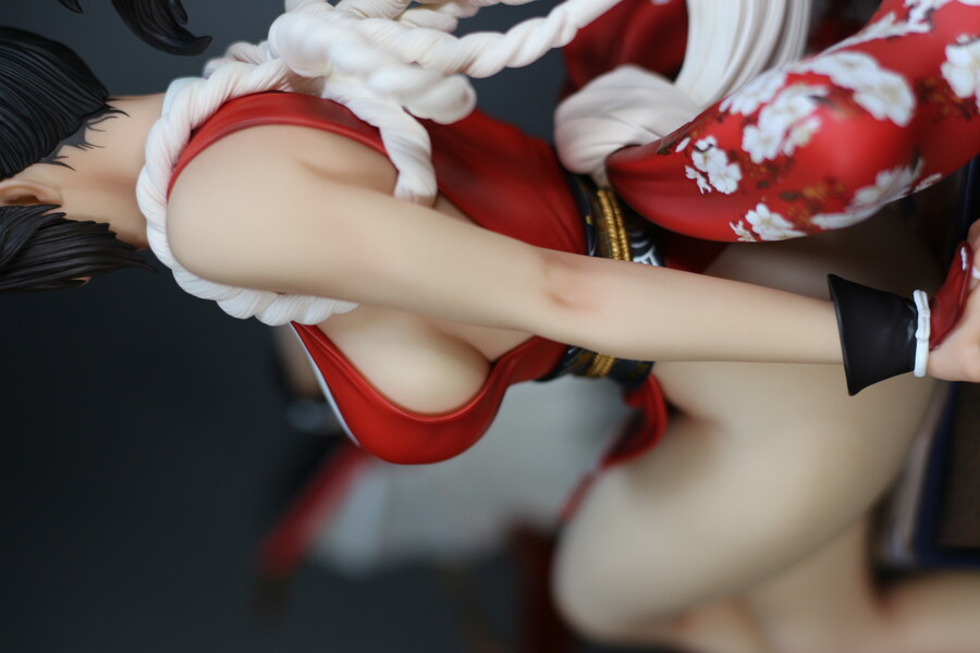 [PIJI] 킹오브파이터즈XIV 시라누이 마이_26.jpg