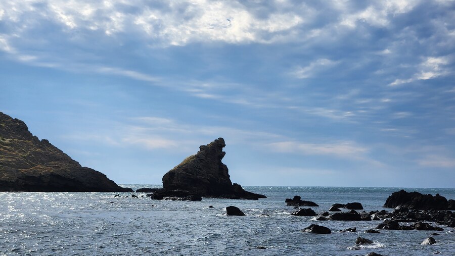 수녀님이 좋아하실만한 사진_1.jpg