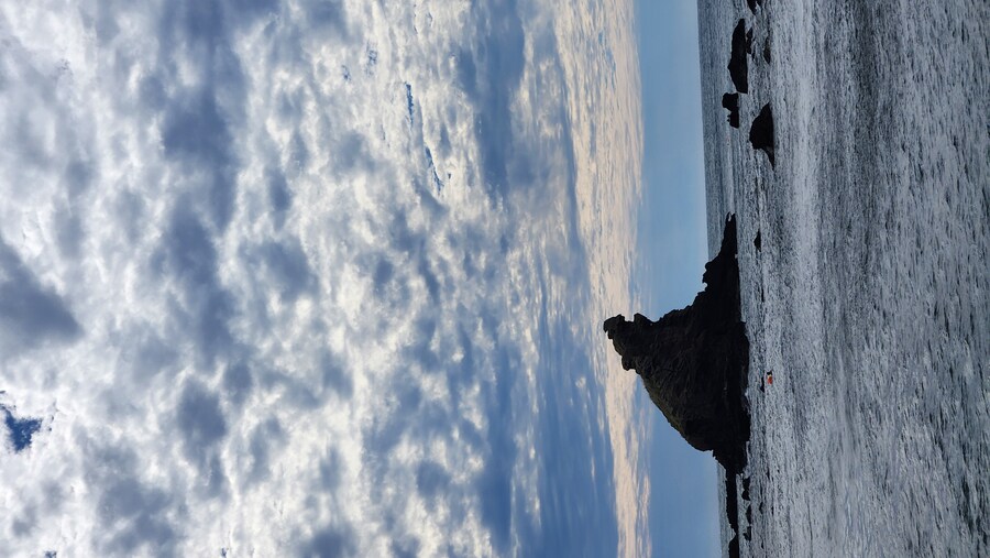 수녀님이 좋아하실만한 사진_3.jpg