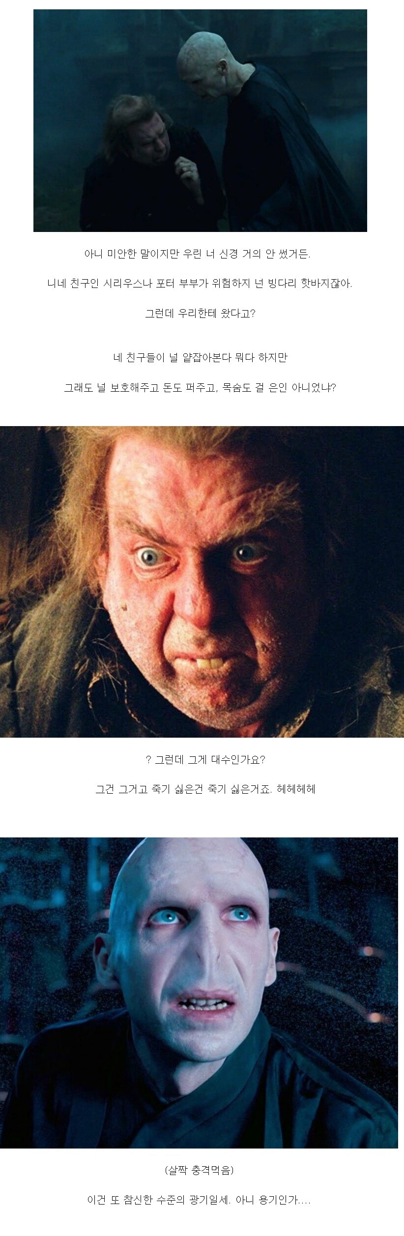 해리포터) 내부의 스파이를 의심하는 시리우스_7.jpg