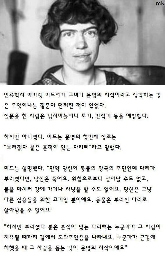 문명의 시작은 부러진 뼈가 붙은 흔적이다.jpg_1.jpg