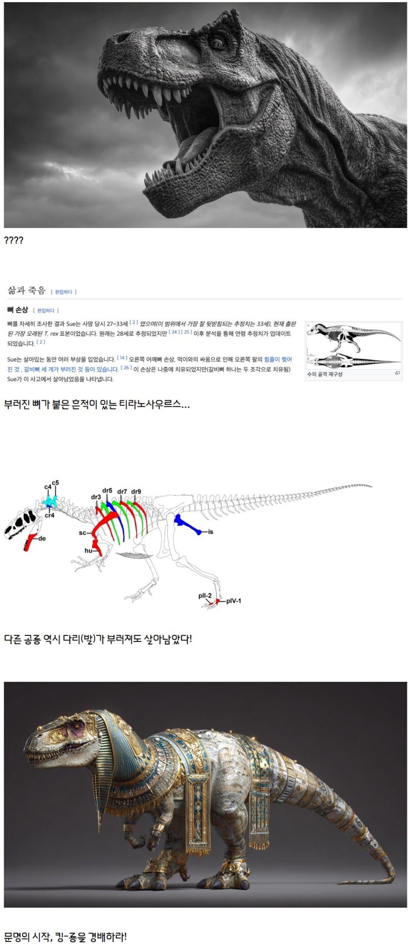 문명의 시작은 부러진 뼈가 붙은 흔적이다.jpg_2.jpg