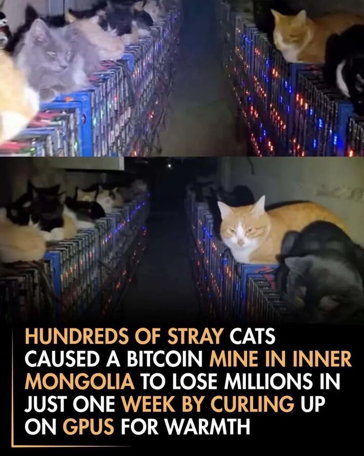 중국 코인 채굴장 근황_2.jpg