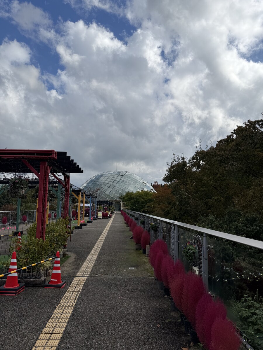 11월 2~7 5박6일 돗토리 요나고 여행 5일차 및 귀국까지.(스압)_15.jpg