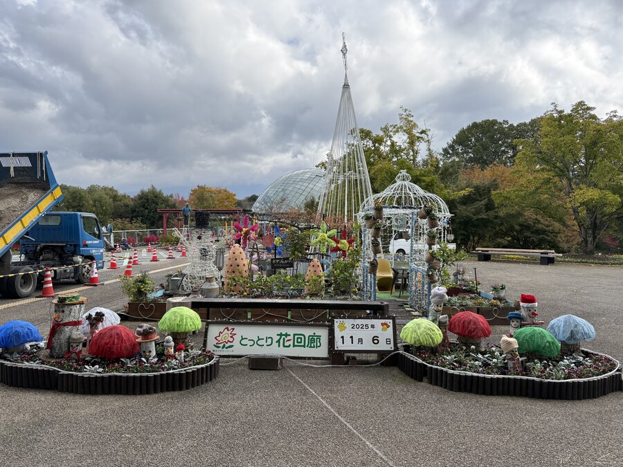 11월 2~7 5박6일 돗토리 요나고 여행 5일차 및 귀국까지.(스압)_14.jpg