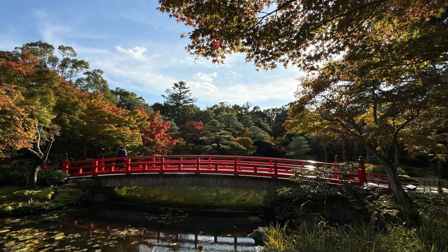 11월 2~7 5박6일 돗토리 요나고 여행 5일차 및 귀국까지.(스압)_29.jpg