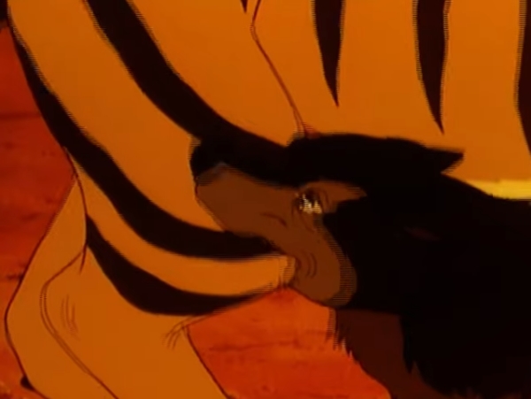 [정글북:소년 모글리] 호랑이 vs 늑대_17.jpg