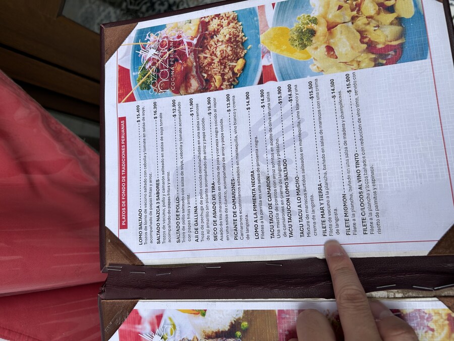 칠레 처갓집 방문기 (2) 4-6일차 : 발파라이소 / 비냐 델 말_8.jpg