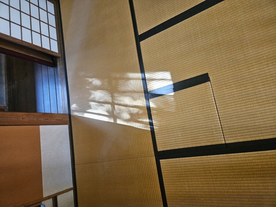 단풍과 이끼. 니가타 9박10 여행 - 2_3.jpg