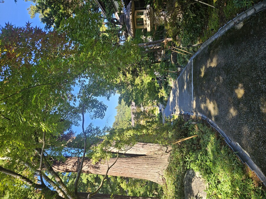 단풍과 이끼. 니가타 9박10 여행 - 2_7.jpg