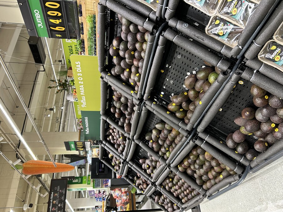 칠레 처갓집 방문기 (2) 4-6일차 : 발파라이소 / 비냐 델 말_25.jpg