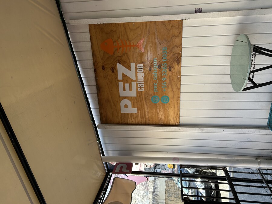 칠레 처갓집 방문기 (2) 4-6일차 : 발파라이소 / 비냐 델 말_46.jpg