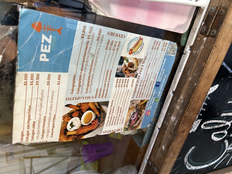 칠레 처갓집 방문기 (2) 4-6일차 : 발파라이소 / 비냐 델 말_47.jpg