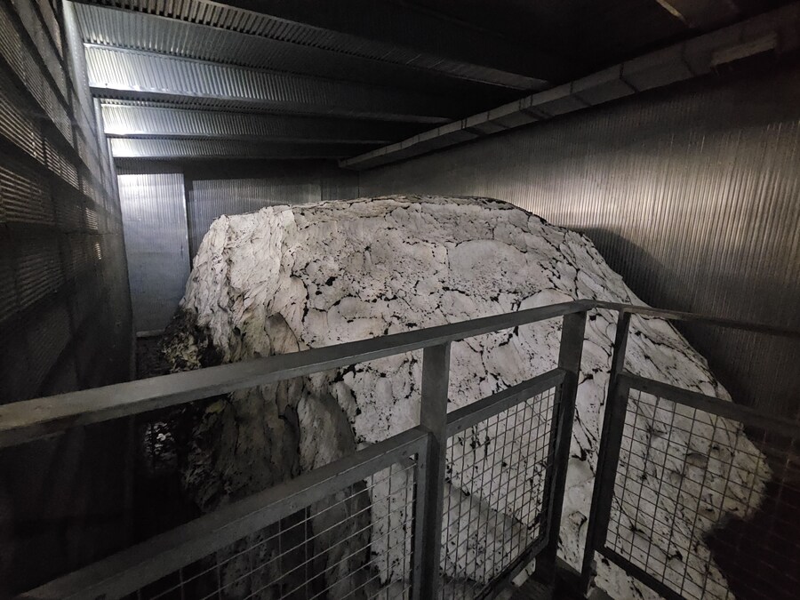 단풍과 이끼. 니가타 9박10 여행 - 2_15.jpg