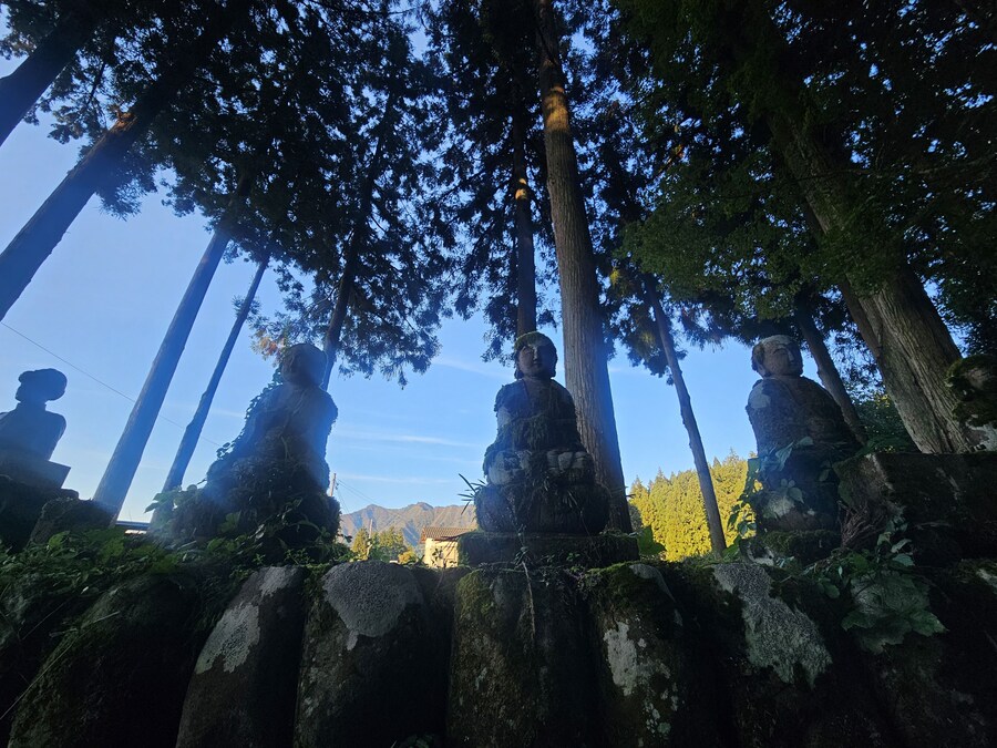 단풍과 이끼. 니가타 9박10 여행 - 2_18.jpg