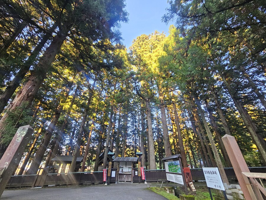 단풍과 이끼. 니가타 9박10 여행 - 2_19.jpg