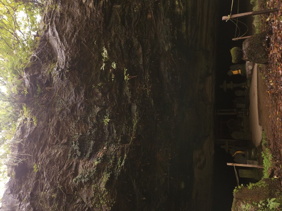 단풍과 이끼. 니가타 9박10 여행 - 2_41.jpg