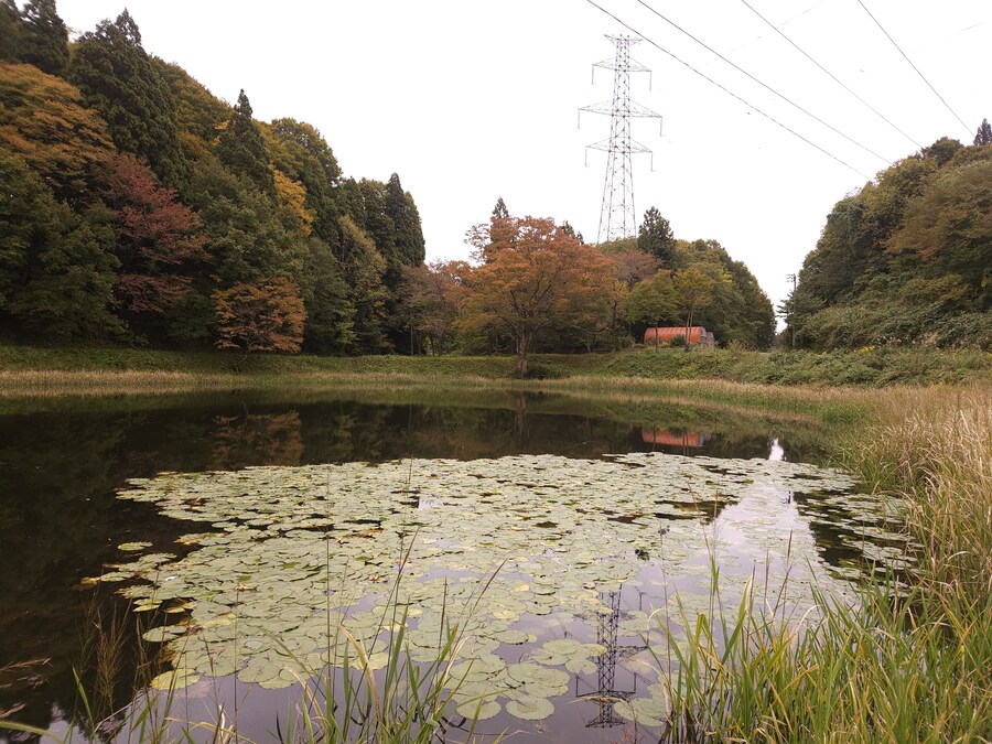 단풍과 이끼. 니가타 9박10 여행 - 2_43.jpg