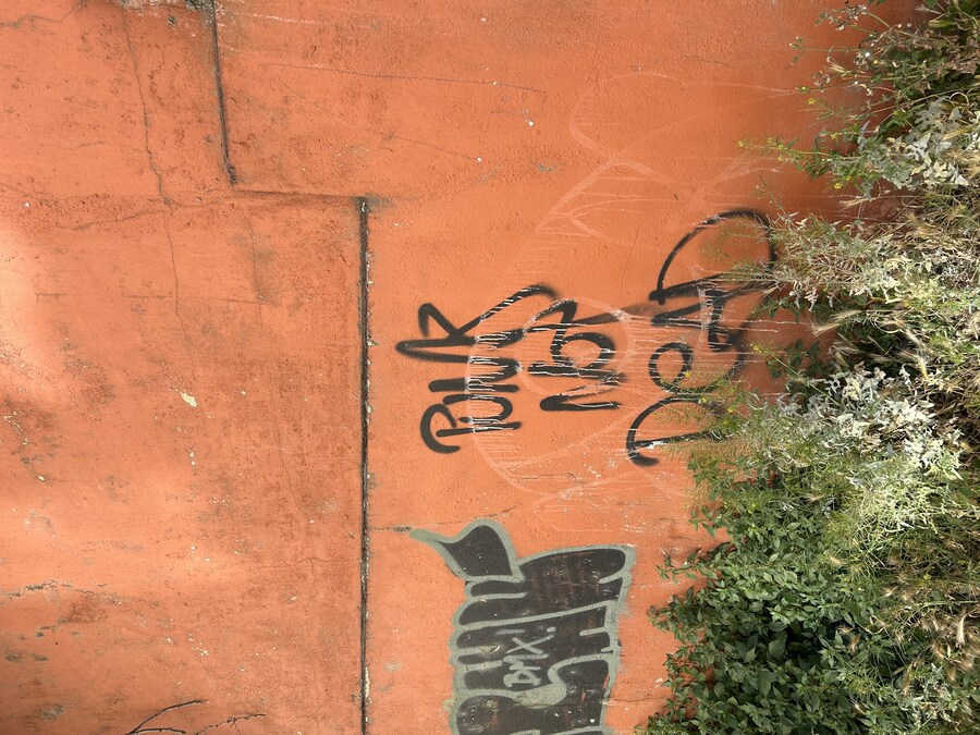 칠레 처갓집 방문기 (2) 4-6일차 : 발파라이소 / 비냐 델 말_13.jpg